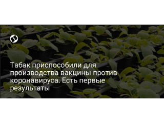 Табак приспособили для производства вакцины против коронавируса. Есть первые результаты